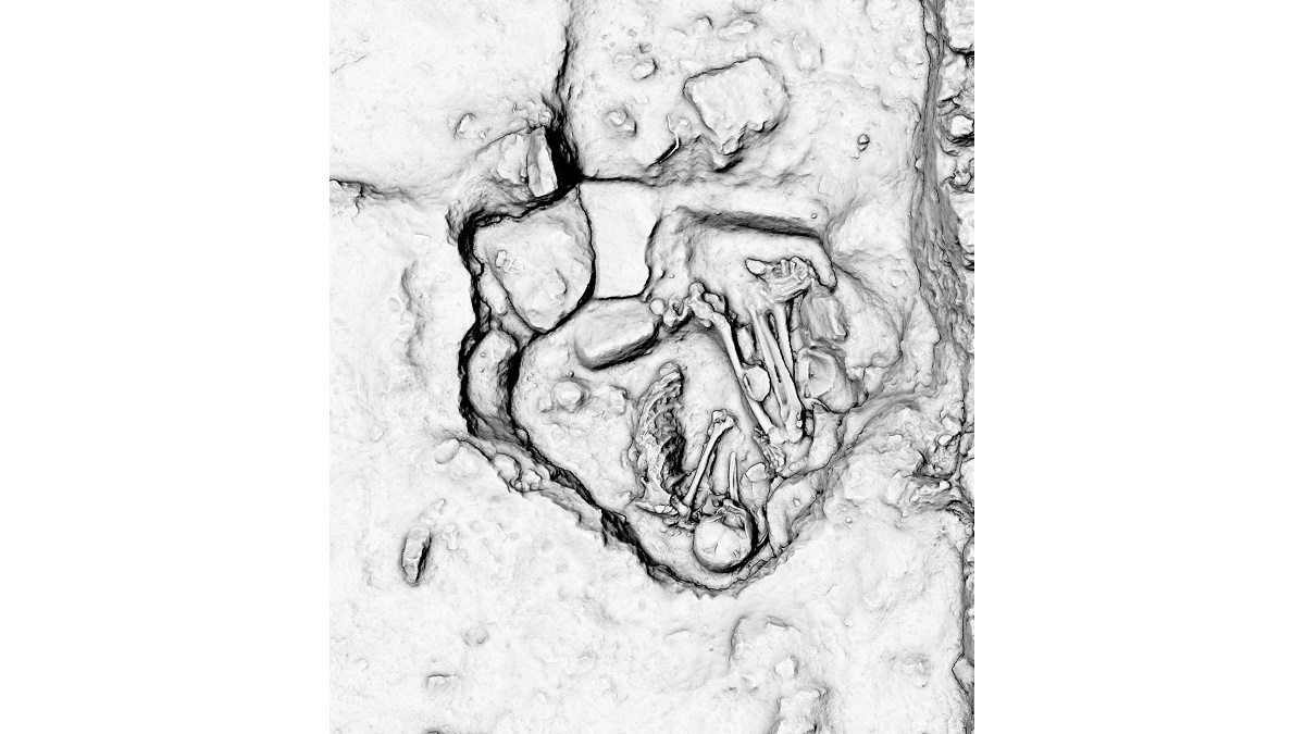 Continúan descubrimientos arqueológicos en Tren Maya Continúan descubrimientos arqueológicos en Tren Maya