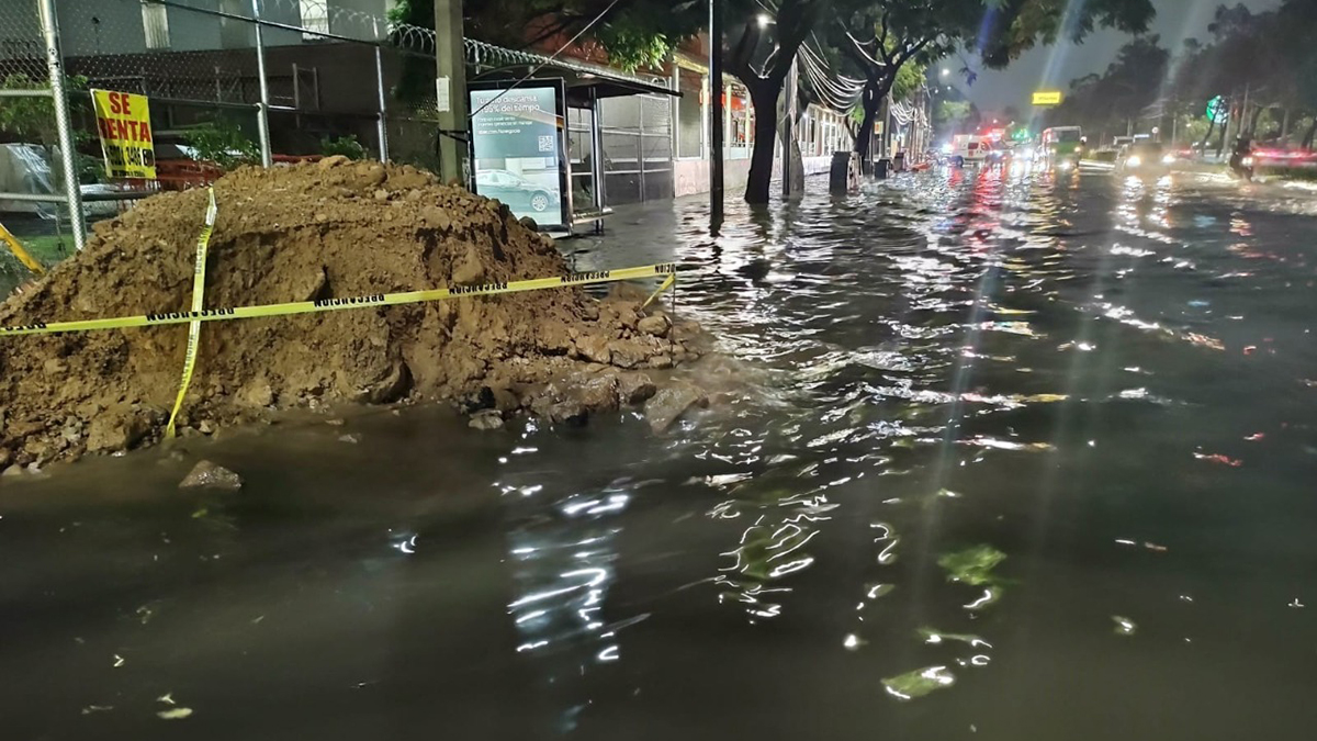 Lluvias causan en CDMX inundaciones y caída de árbol