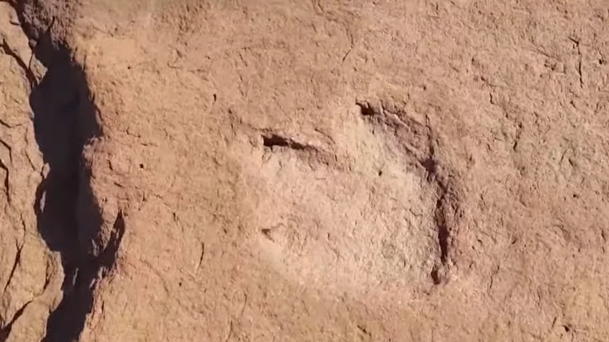 Policía argentina descubre huellas de dinosaurio bípedo en Rio Negro