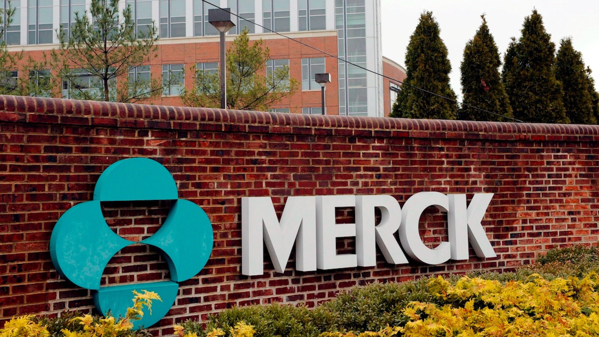 MSD confirma que su pastilla contra COVID-19 reduce a la mitad el riesgo de muerte MSD confirma que su pastilla contra COVID-19 reduce a la mitad el riesgo de muerte