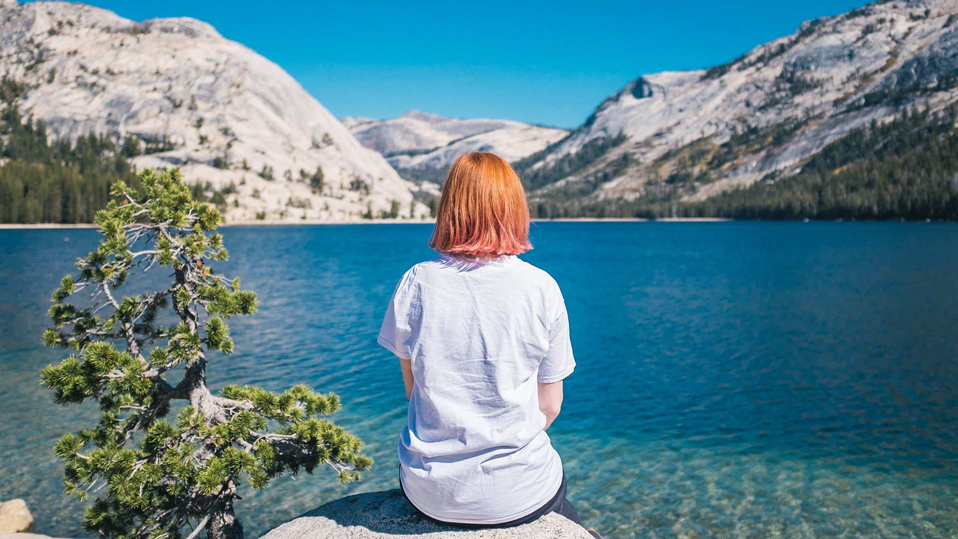 Tercera edición de Expo Sostenible marca el compromiso de Uruguay con el medioambiente Tercera edición de Expo Sostenible marca el compromiso de Uruguay con el medioambiente