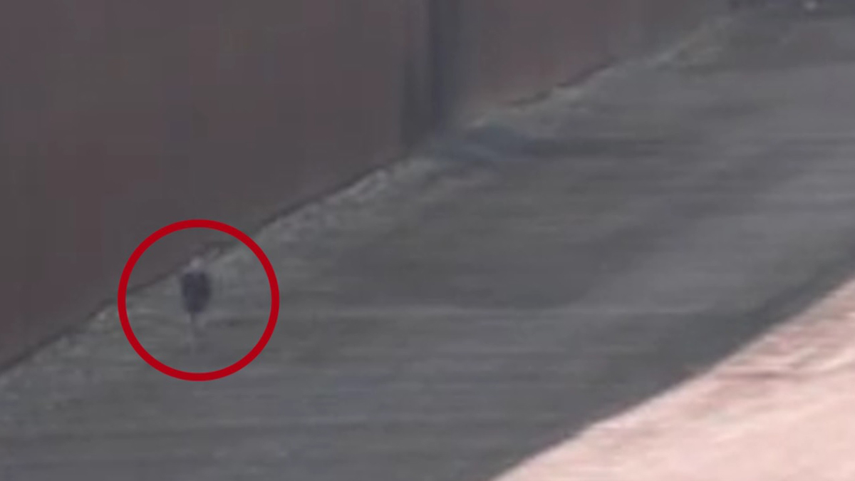 #Video Pollero abandona a niña en muro fronterizo de EE.UU. #Video Pollero abandona a niña en muro fronterizo de EE.UU.