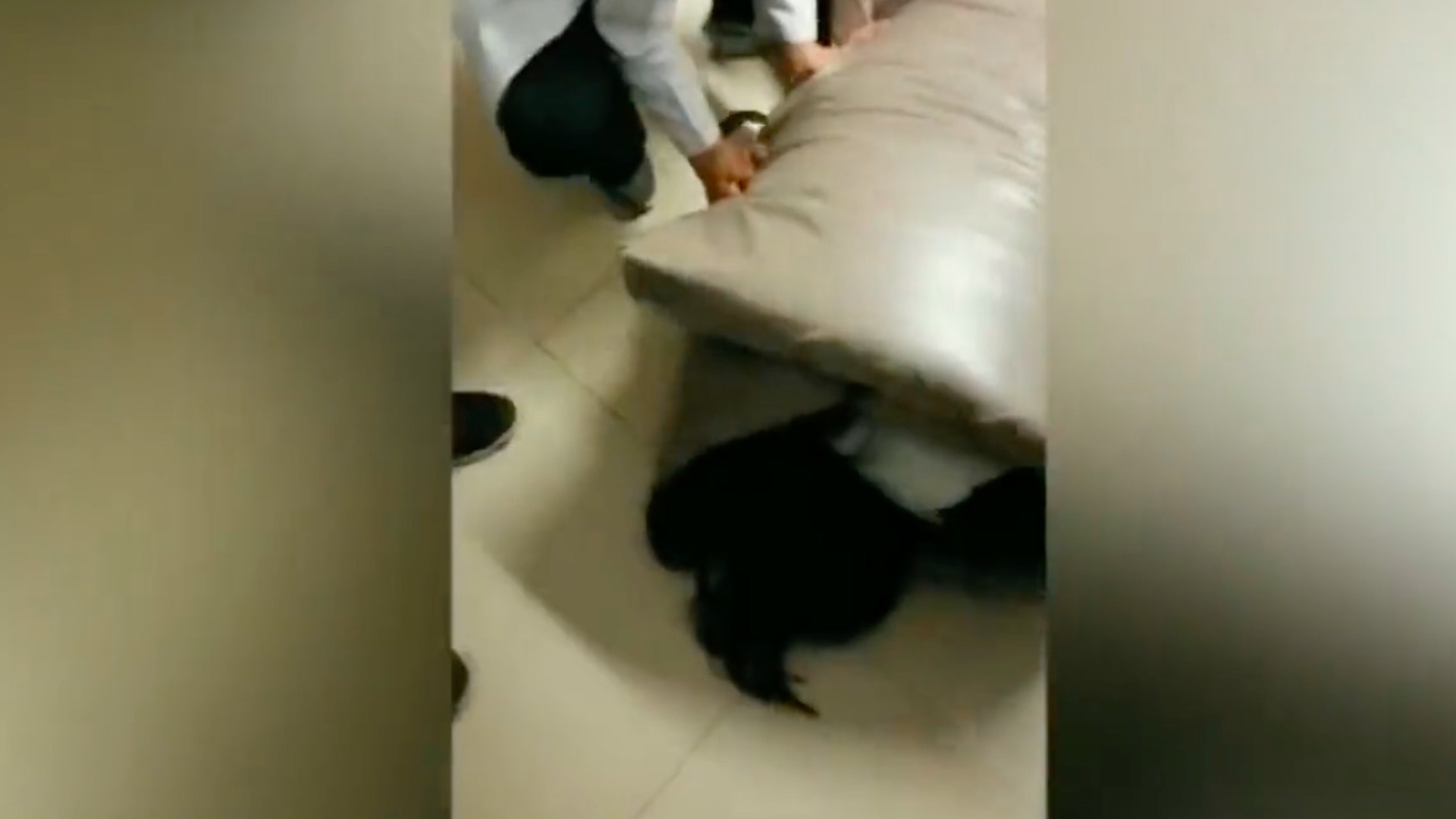 Dan de baja a cinco médicos residentes por novatadas en Tlalnepantla