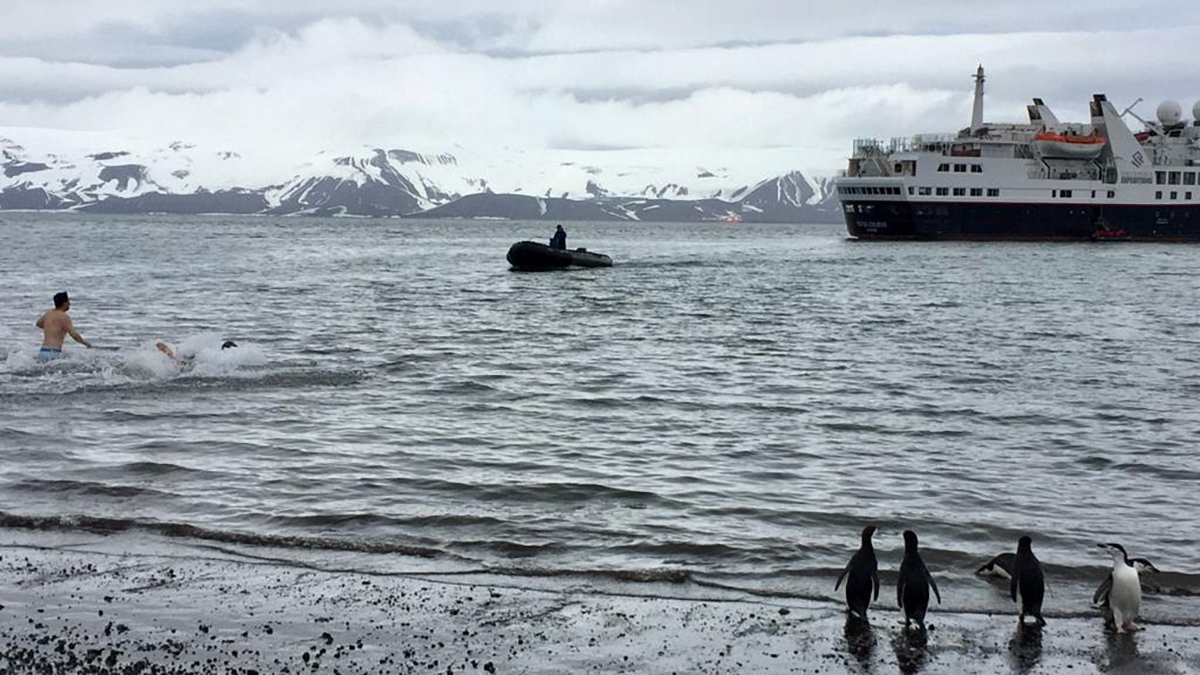 Clavado del oso polar en aguas heladas de la Antártida, por Ivonne Frid - paisaje