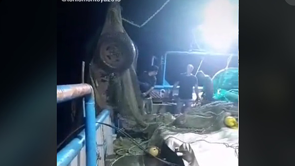 #Video Barco camaronero ‘pesca’ camioneta en aguas de Mazatlán