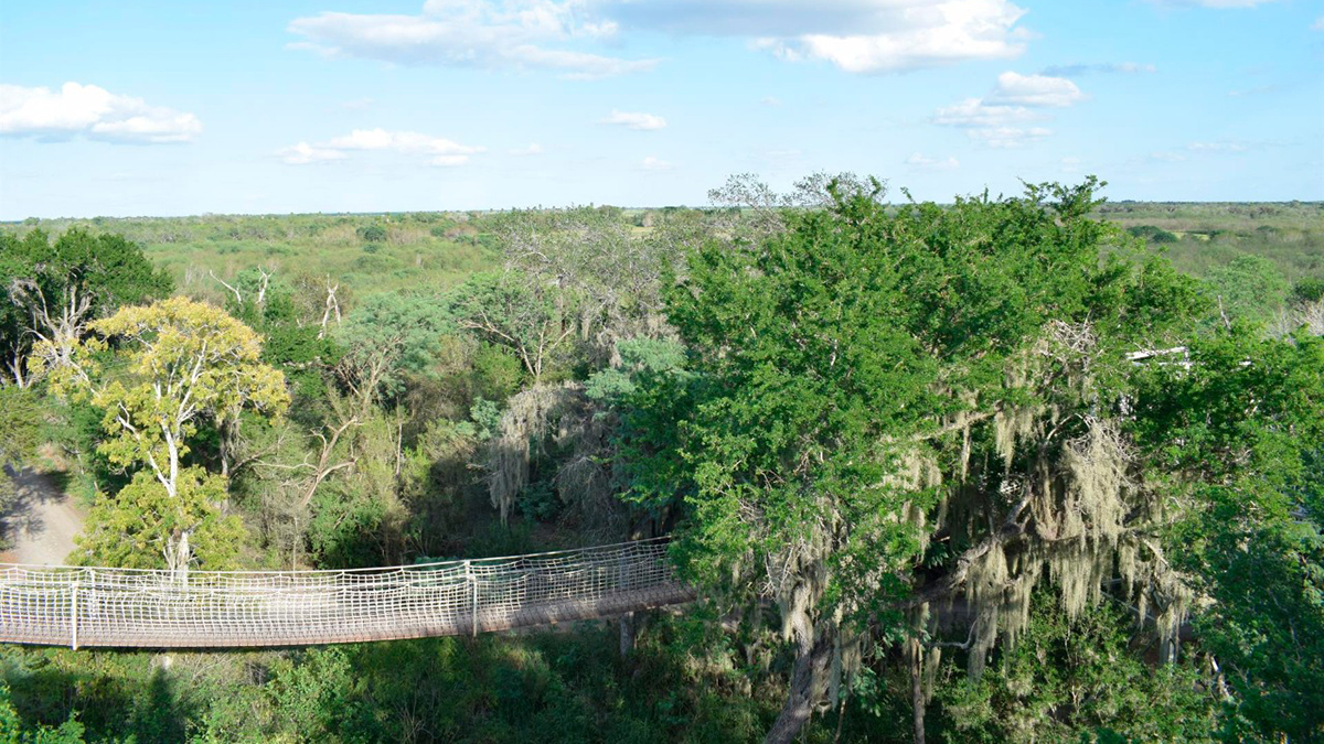 Hallan sano y salvo niño latino perdido tres días en bosque de Texas