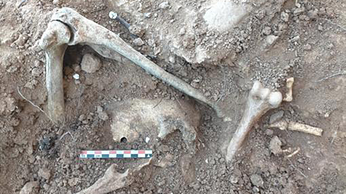 Hallan en España dos fosas con hasta 150 fusilados de la Guerra Civil - restos-oseos-en-fosa-de-belchite-espana