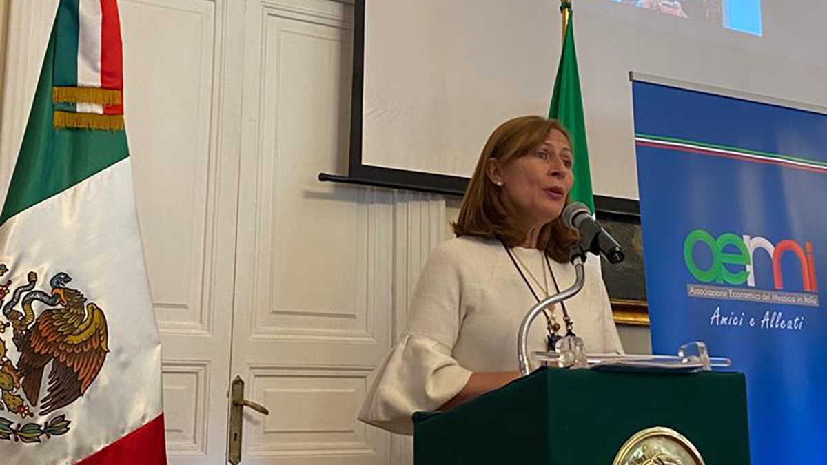 FMI opina con desconocimiento sobre reforma eléctrica: Clouthier