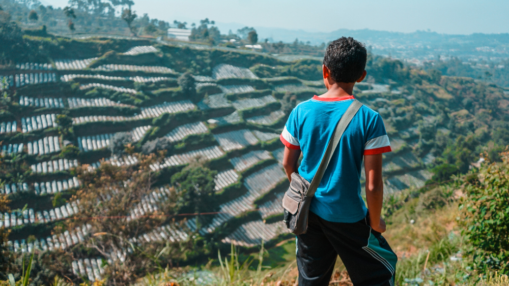 Solo la mitad de planes educativos tratan cambio climático: Unesco Solo la mitad de planes educativos tratan cambio climático: Unesco