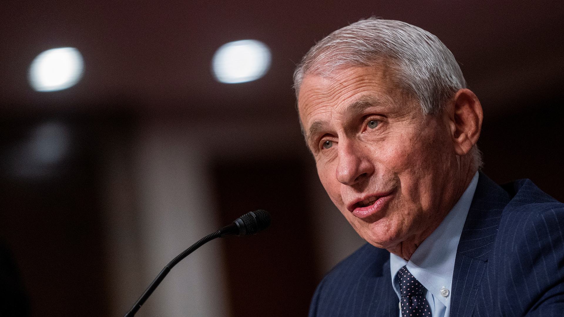 Fauci niega ser responsable del COVID-19 ante acusaciones de senador