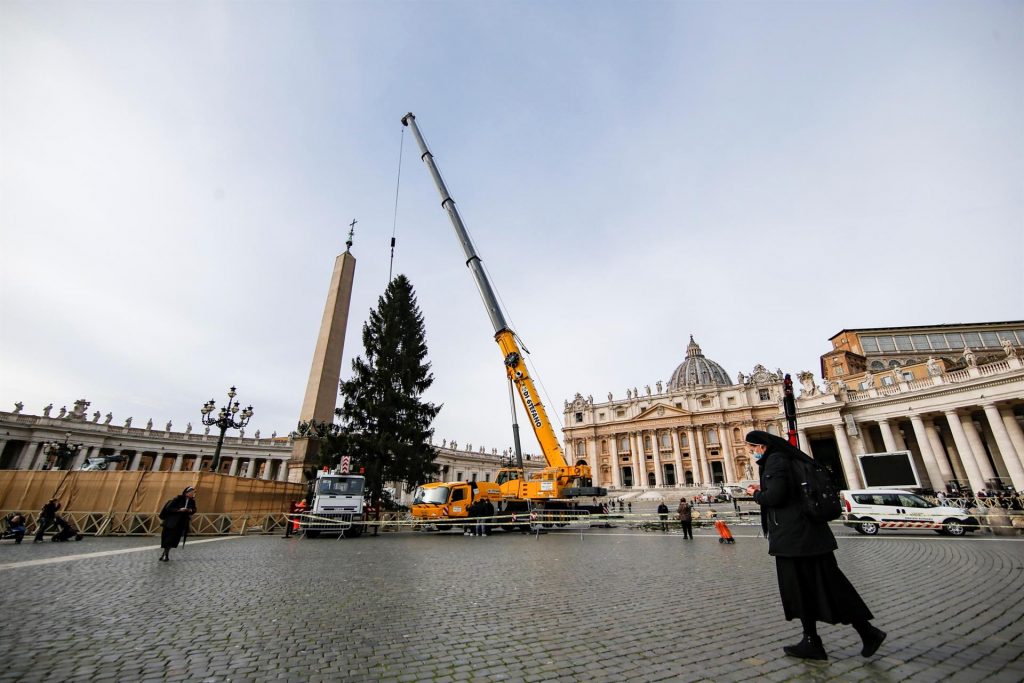 Abeto de 113 años será el árbol de Navidad del Vaticano - instalacion-en-la-plaza-de-san-pedro-del-arbol-de-navidad-del-vaticano-1024x683