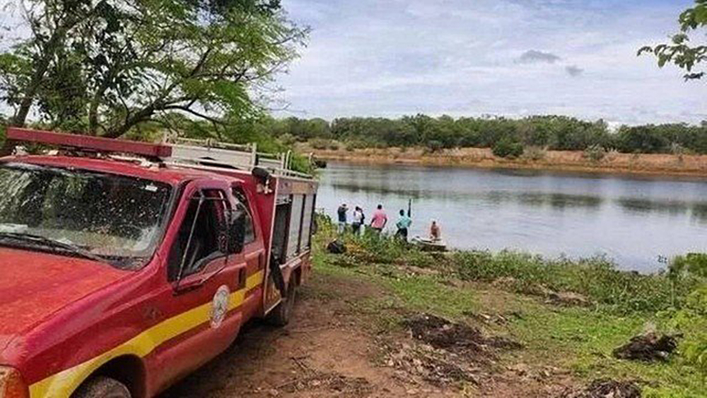 Hombre huye de abejas, se lanza a lago y muere atacado por pirañas en Brasil Hombre huye de abejas, se lanza a lago y muere atacado por pirañas en Brasil