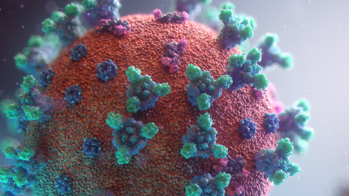 Los números de la pandemia en México; entrevista con Arturo Erdely