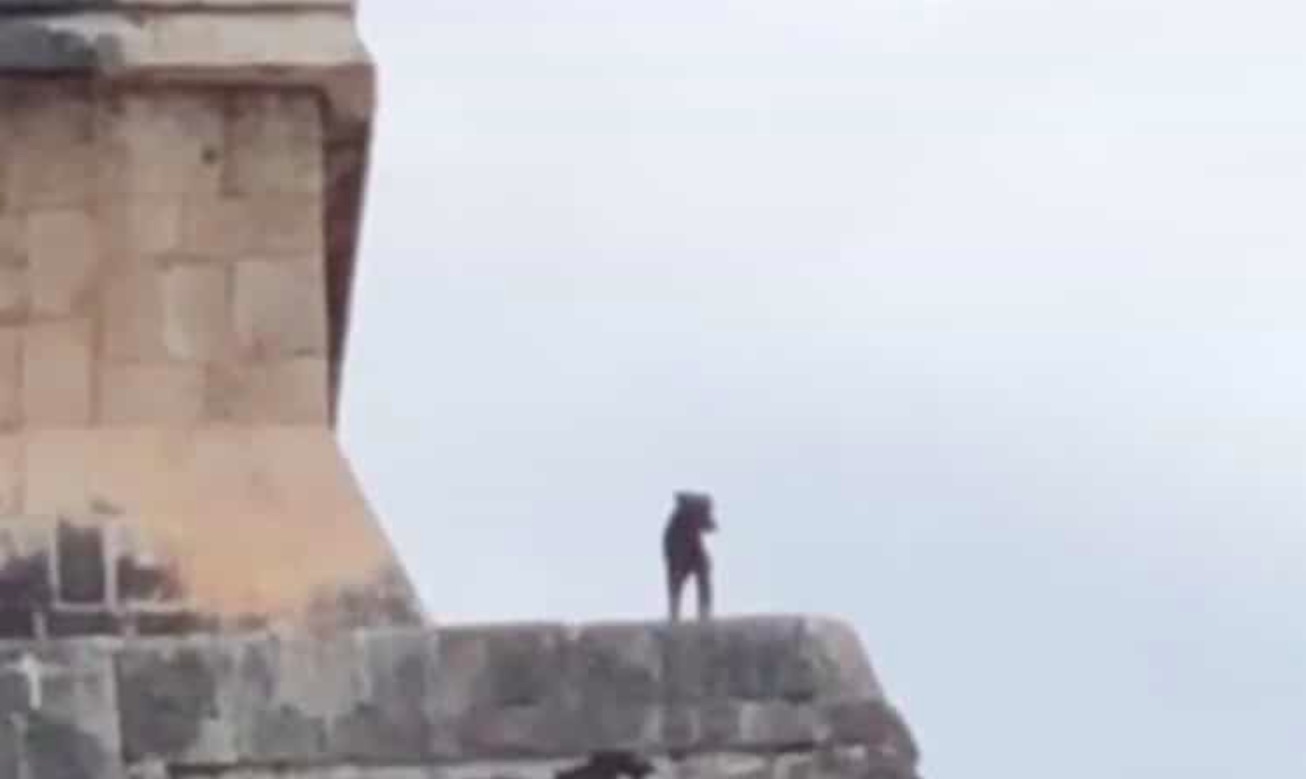 #Video Perro sube escaleras de ‘El Castillo’ en Chichén Itzá