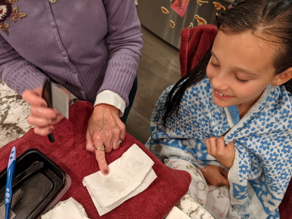 Infestación de piojos continúa pese al distanciamiento social - plaga-de-piojos-1024x768