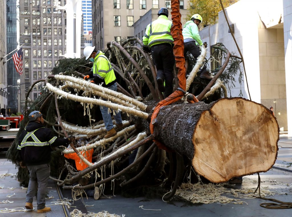 Llega a Nueva York árbol del Rockefeller Center que marca inicio de Navidad - rockfeller-center2-1024x762