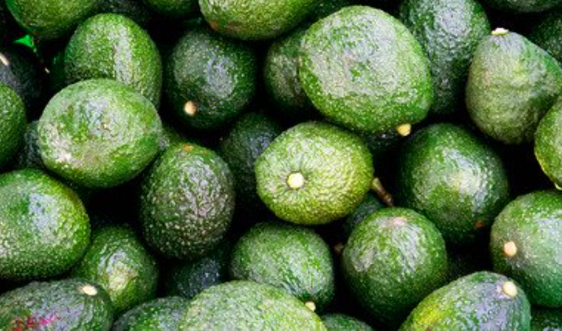 EE.UU. autoriza importación de aguacate Hass de Jalisco