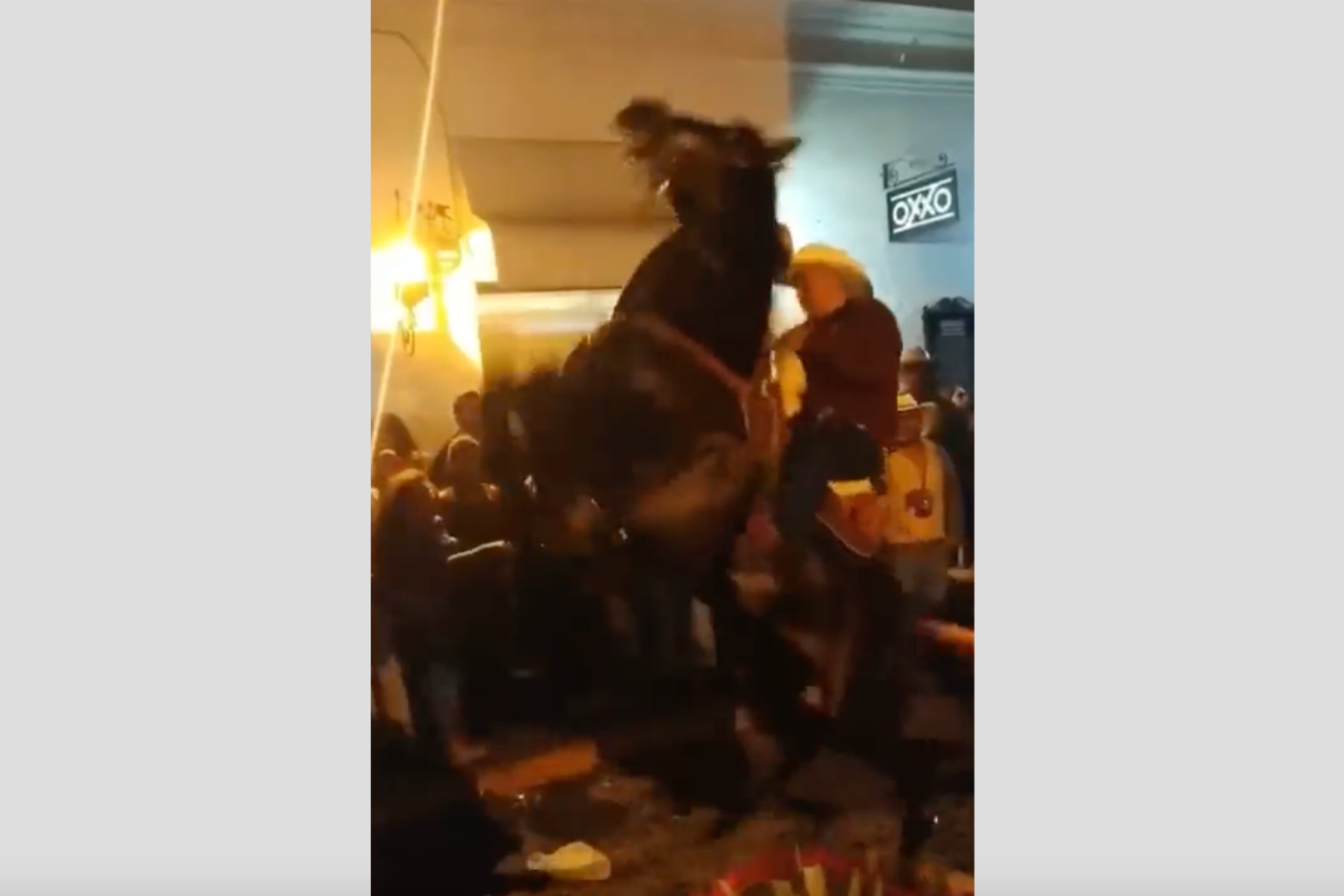 #Video Caballo y jinete vuelcan durante cabalgata en Colima