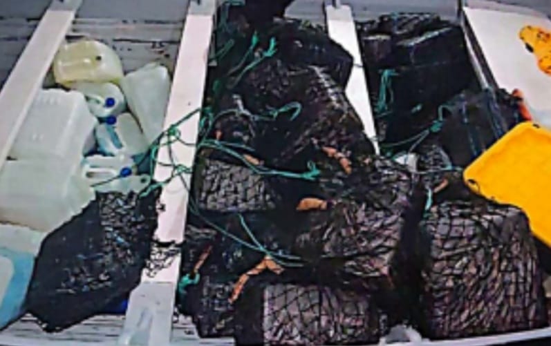 Vinculan a proceso a siete por transportar más de tonelada y media de cocaína Vinculan a proceso a siete por transportar más de tonelada y media de cocaína