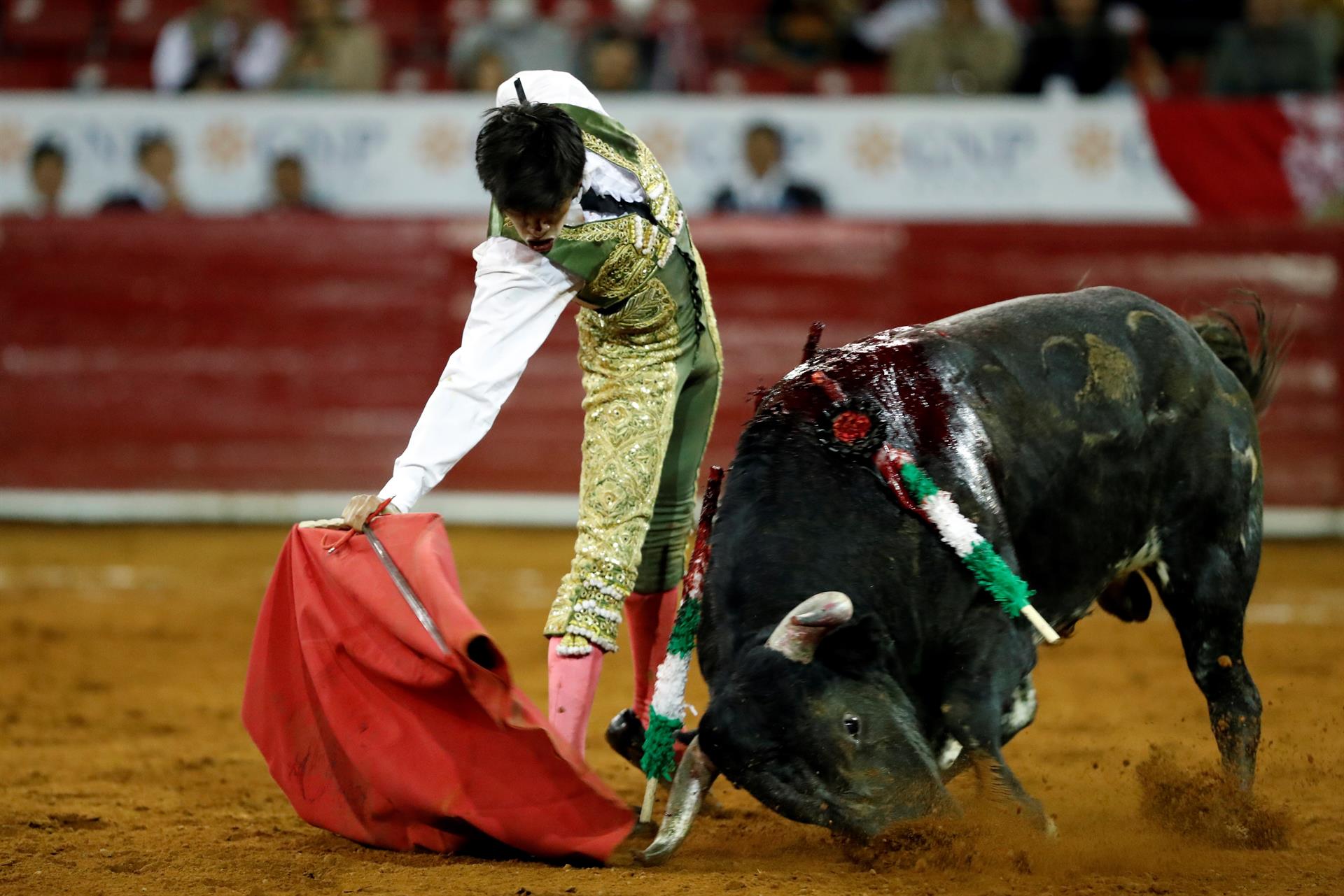 La Plaza México condena iniciativa para prohibir las corridas de toros en CDMX La Plaza México condena iniciativa para prohibir las corridas de toros en CDMX
