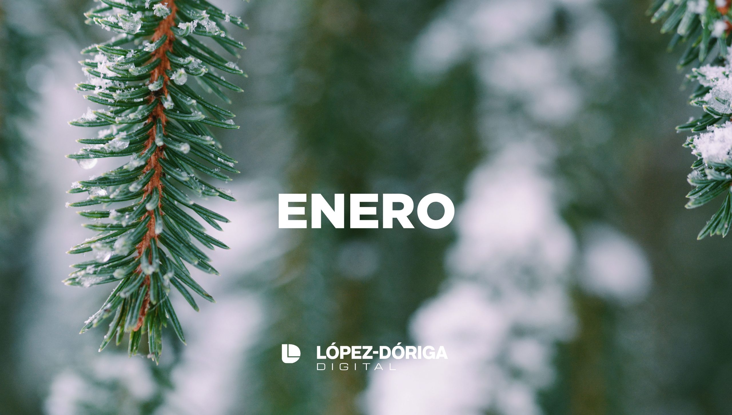 Revisión 2021: enero