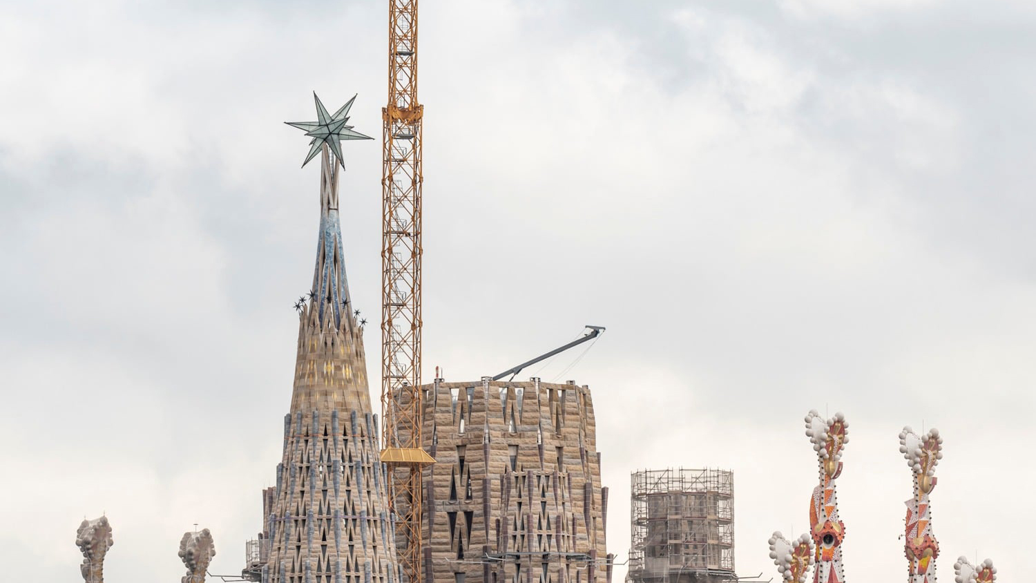 Papa Francisco pide que la estrella de la Sagrada Familia ilumine el amor a los otros