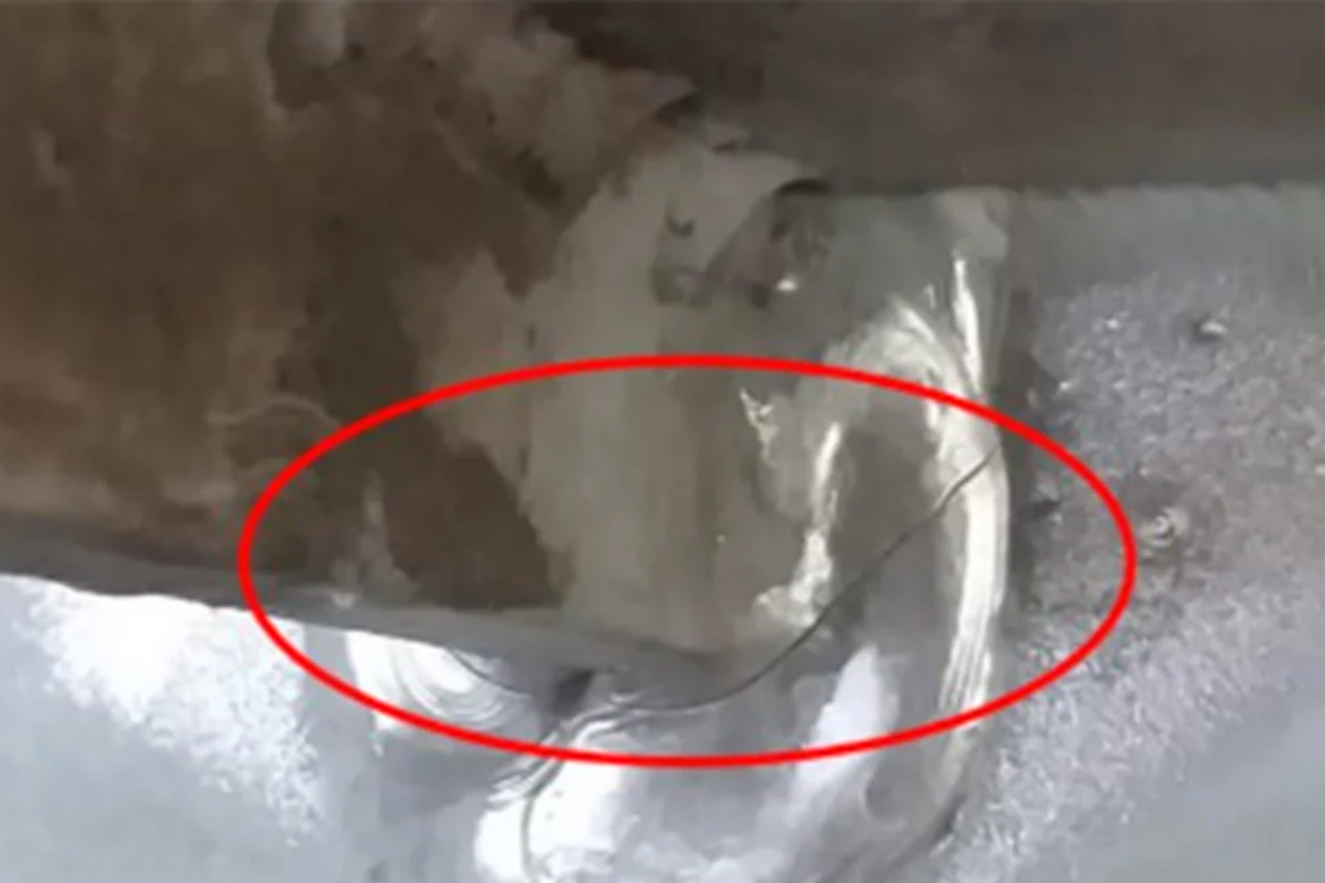 Especialistas detectan 21 nuevas grietas en tramo elevado de Línea 12