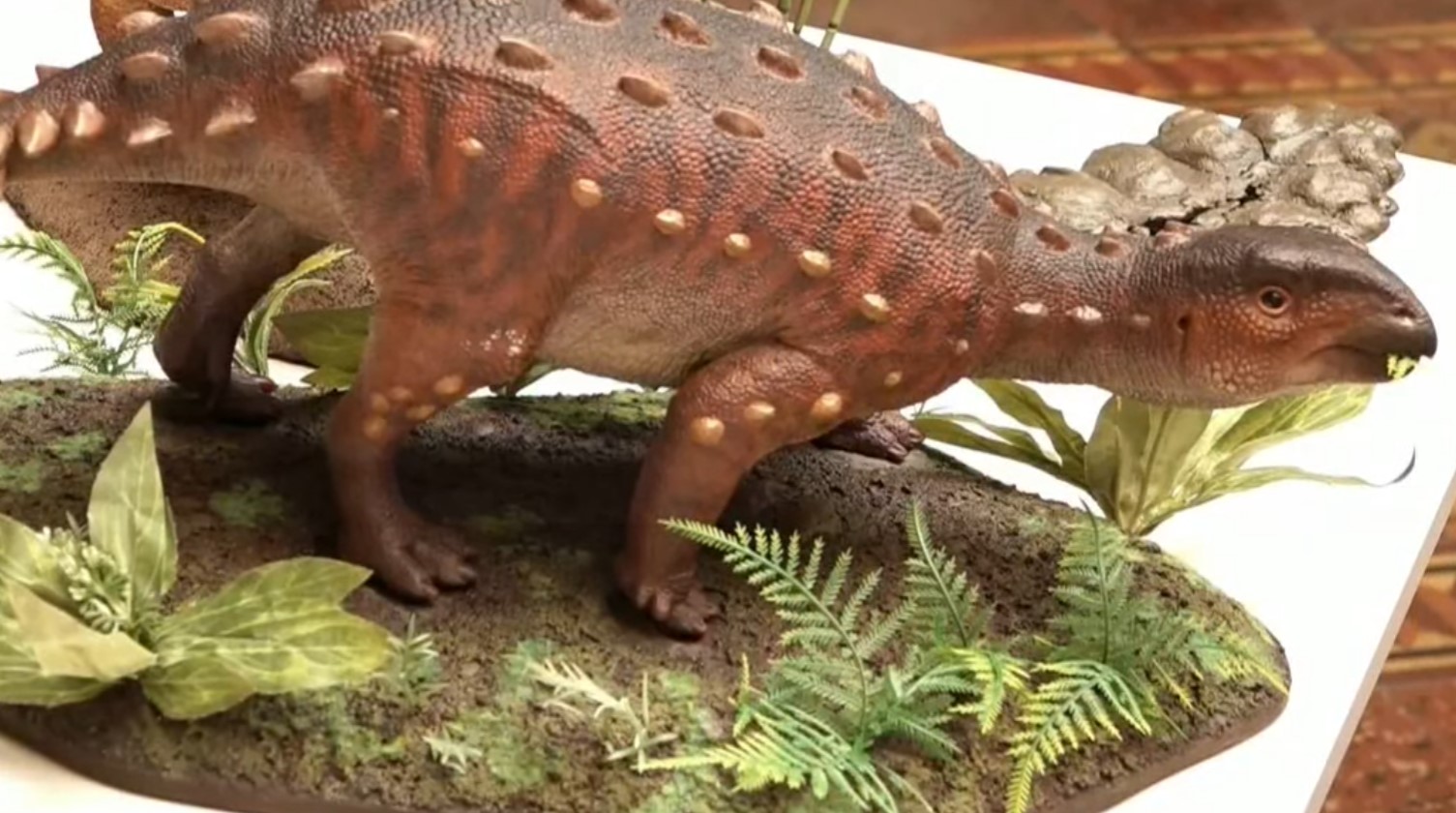 Hallan en Chile un Stegouros elengassen, nueva especie de dinosaurio acorazado