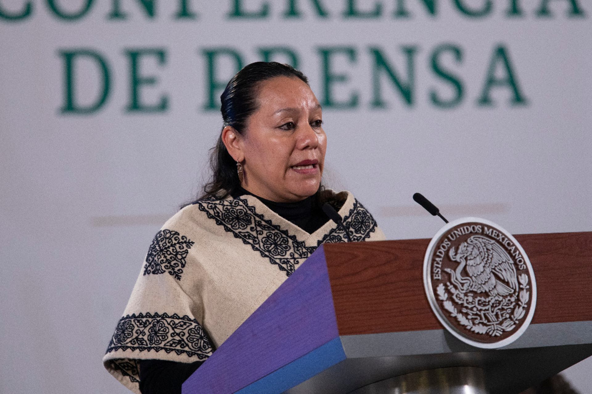 María Luisa Albores, secretaria de Medio Ambiente, da positivo a COVID-19 María Luisa Albores, secretaria de Medio Ambiente, da positivo a COVID-19