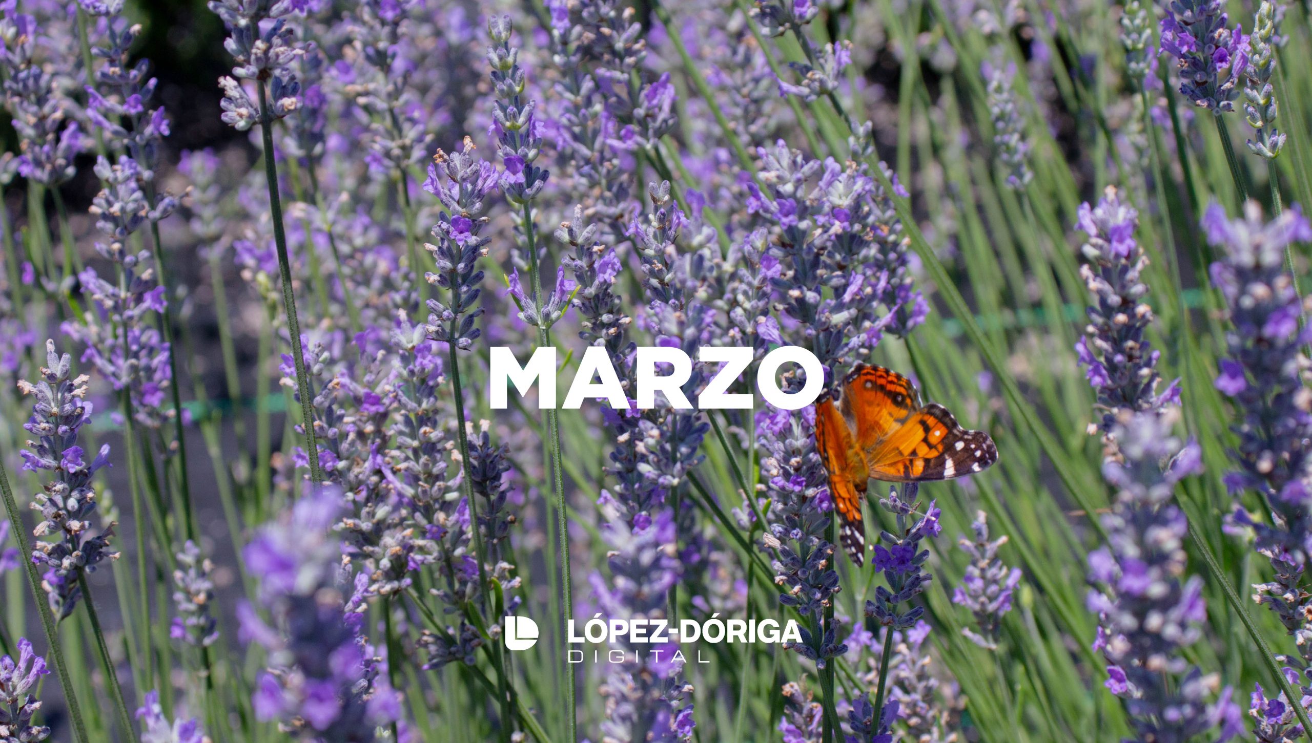 Revisión 2021: Marzo