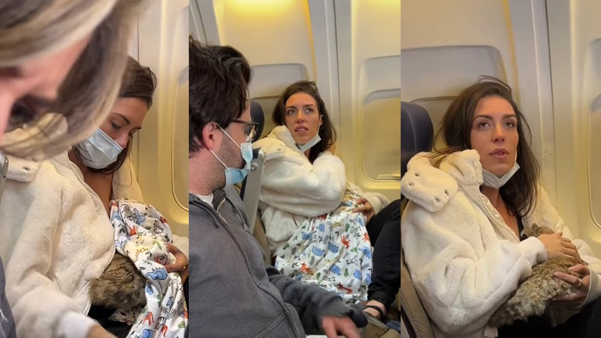 La verdad detrás del video de mujer que amamanta a gato en avión