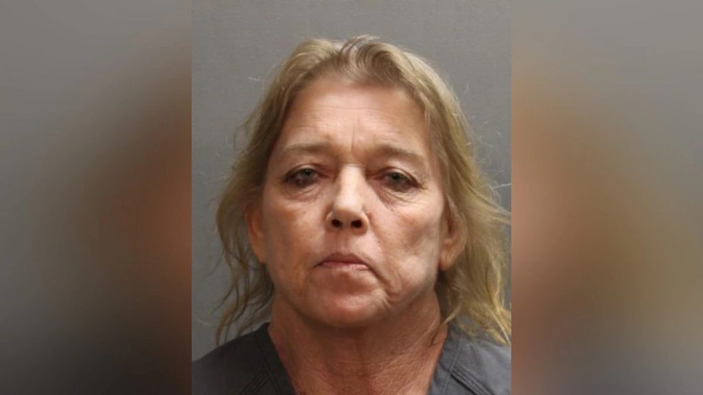 Detienen a mujer que intentó envenenar a su novio porque hablaba mucho - mujer-florida-limonada-1024x576