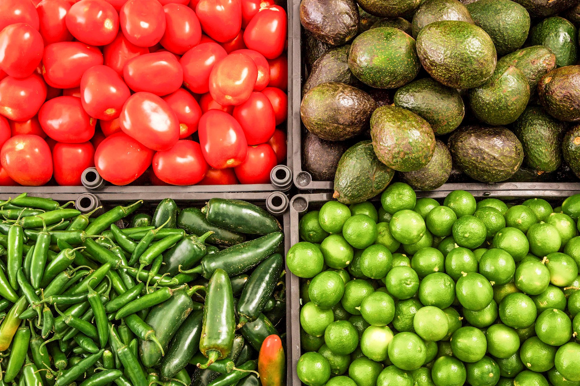 Senasica admite falta de recursos para vigilar plagas en alimentos Senasica admite falta de recursos para vigilar plagas en alimentos