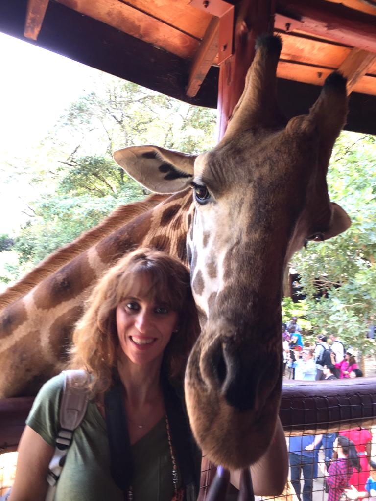 El animal más alto del planeta se encuentra en peligro de extinción - 1-1