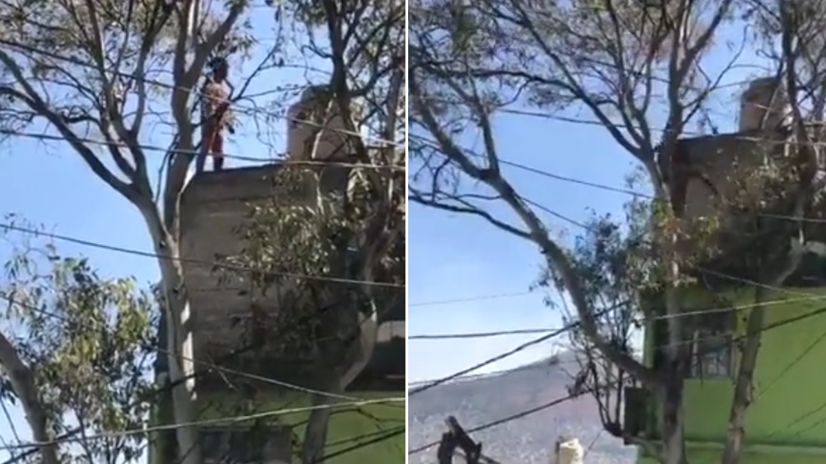 Presunto delincuente muere tras caer de azotea en Tlalnepantla