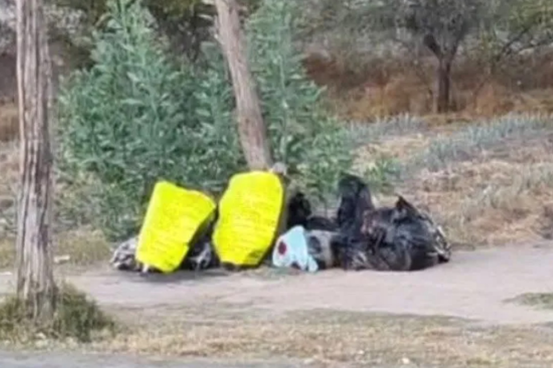 Abandonan bolsas con restos humanos en Silao, Guanajuato