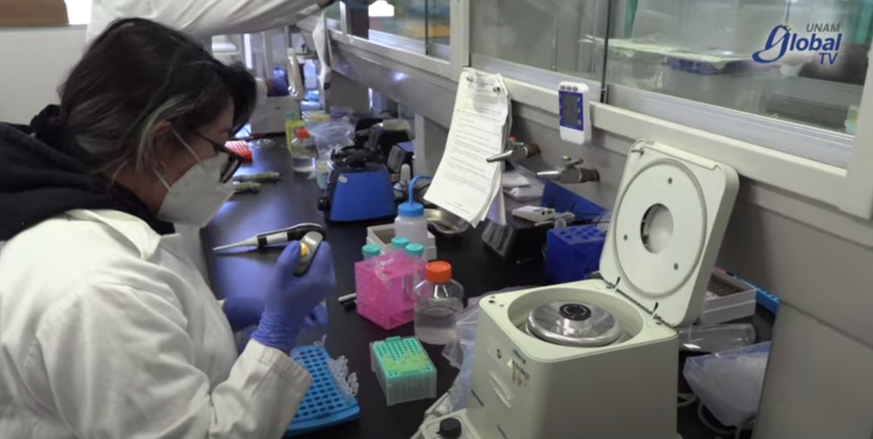 Universitarios crean prueba COVID económica y confiable