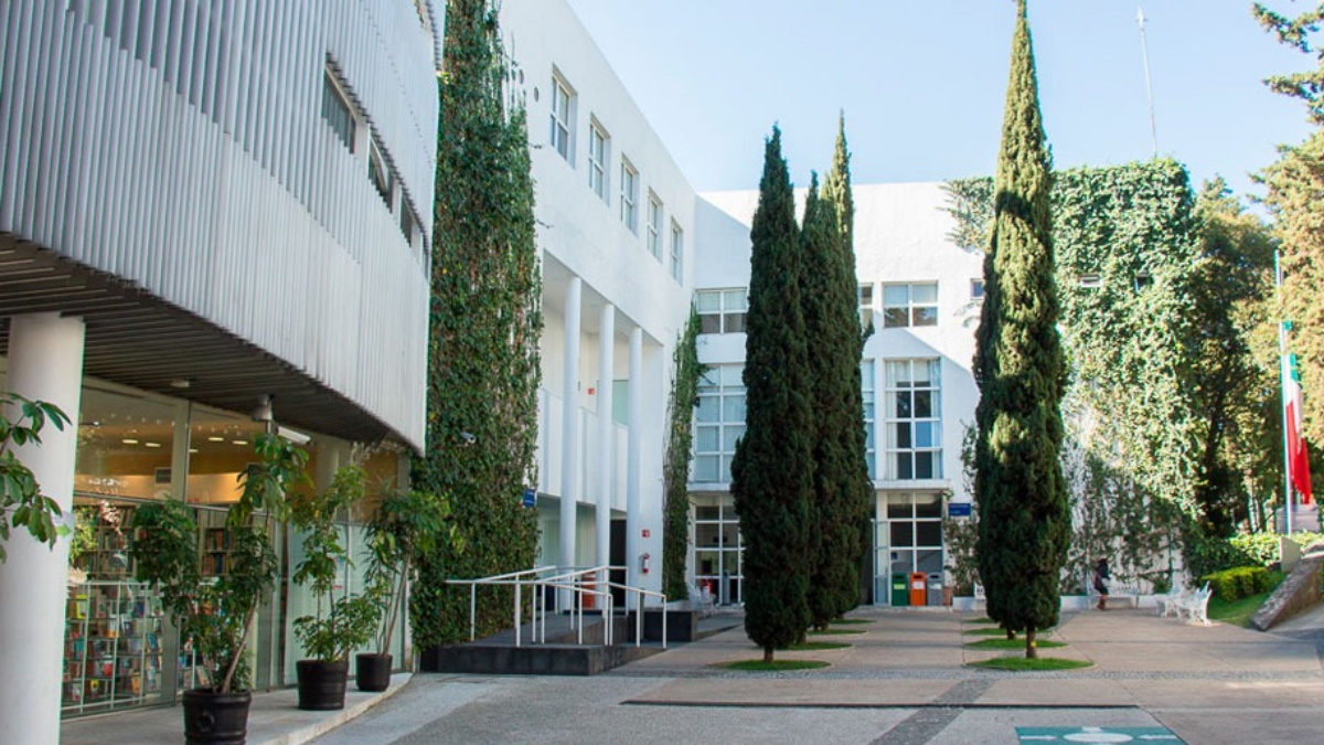 Modificación a estatutos del CIDE, un Golpe de Estado: Jean Meyer