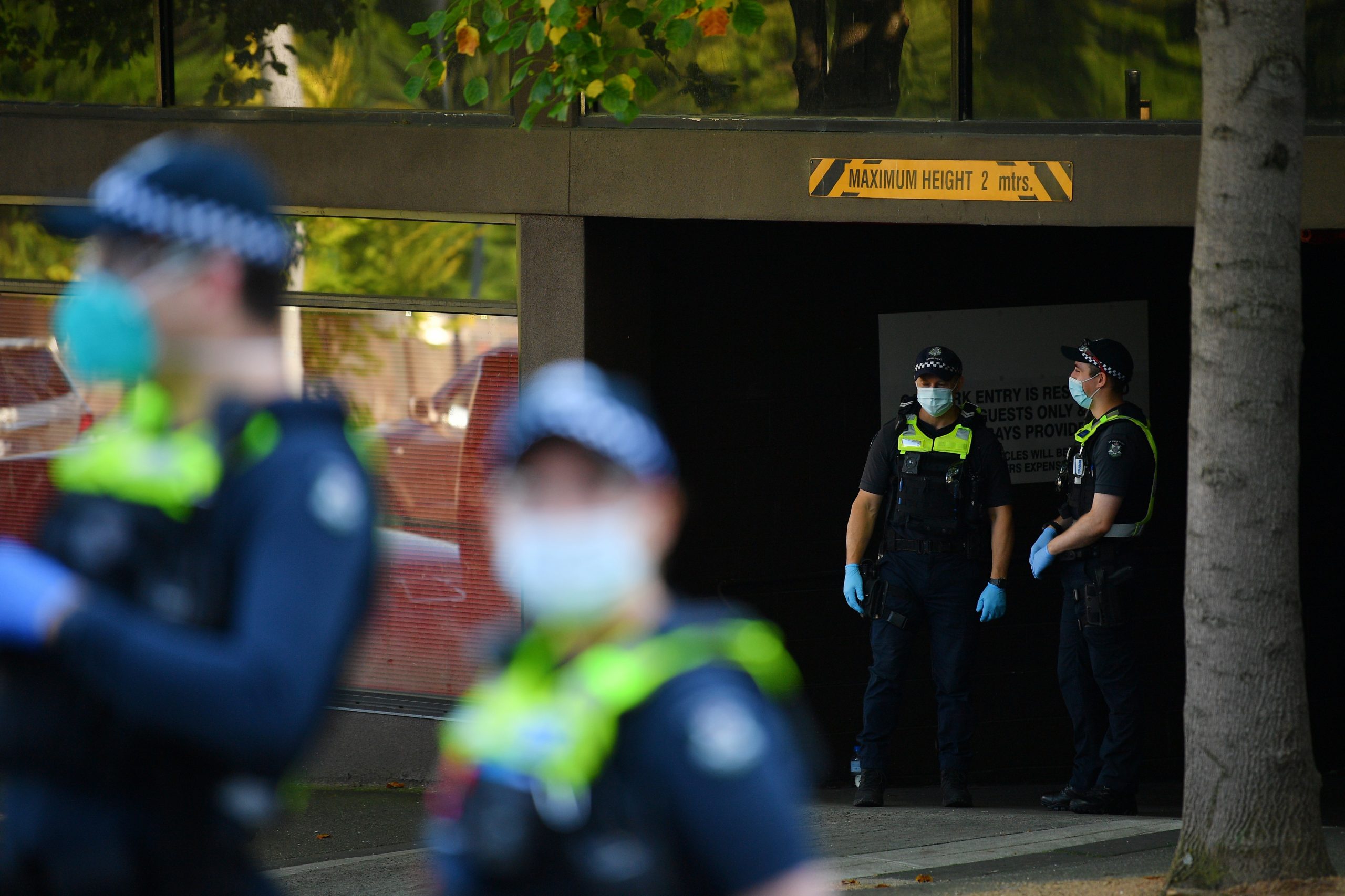Tribunal de Melbourne analiza posible deportación de Novak Djokovic