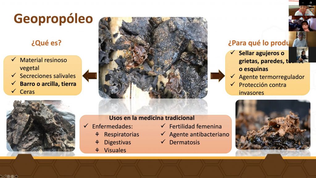 Enjuague bucal a base de propóleo para combatir caries en comunidades indígenas - geopropoleo-1024x578