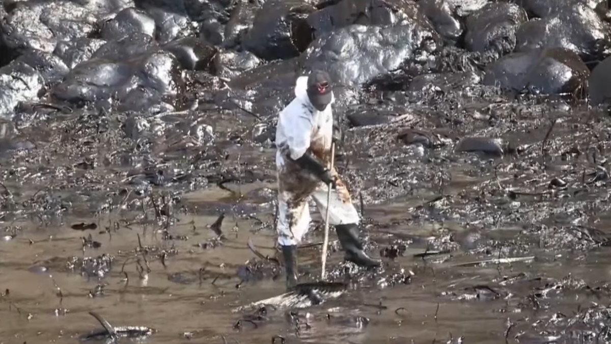 Playas contaminadas, animales muertos y las miradas contra Repsol en el derrame de Perú