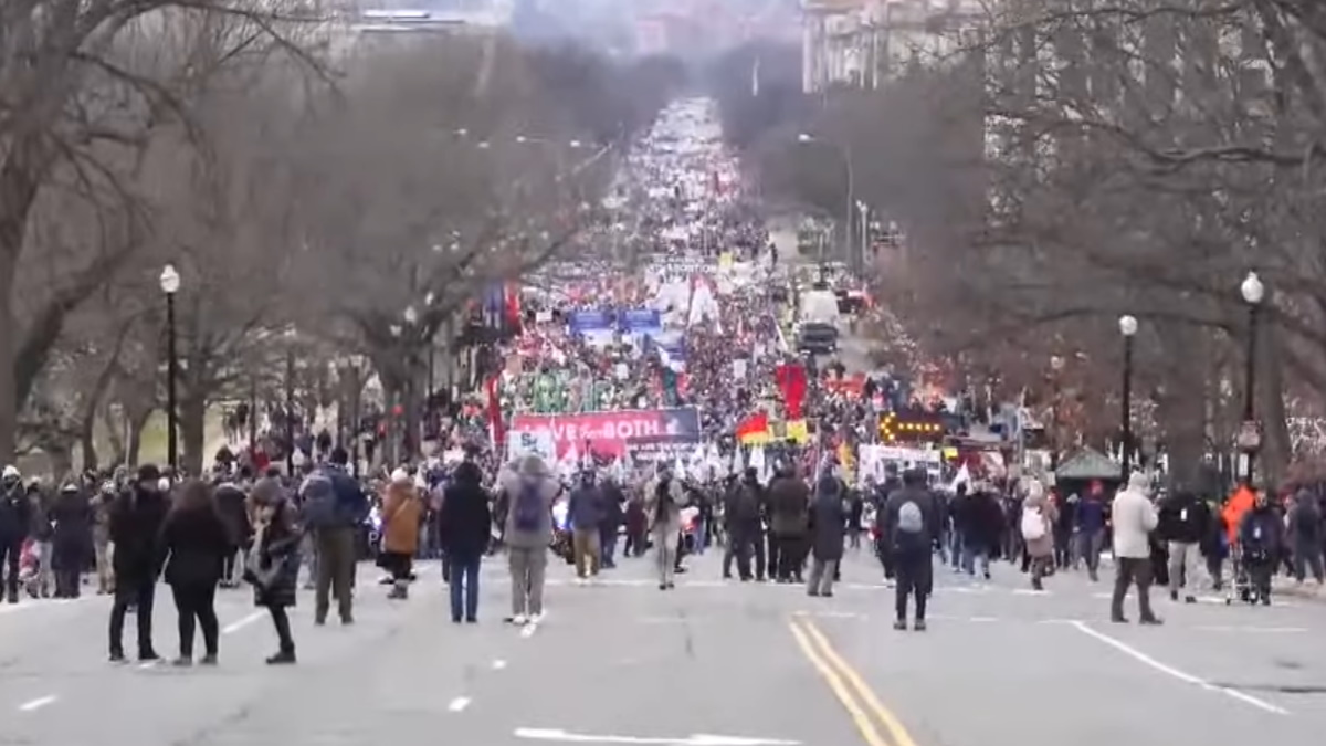 Marcha antiabortista celebra probable fin del derecho a abortar en medio EE.UU.