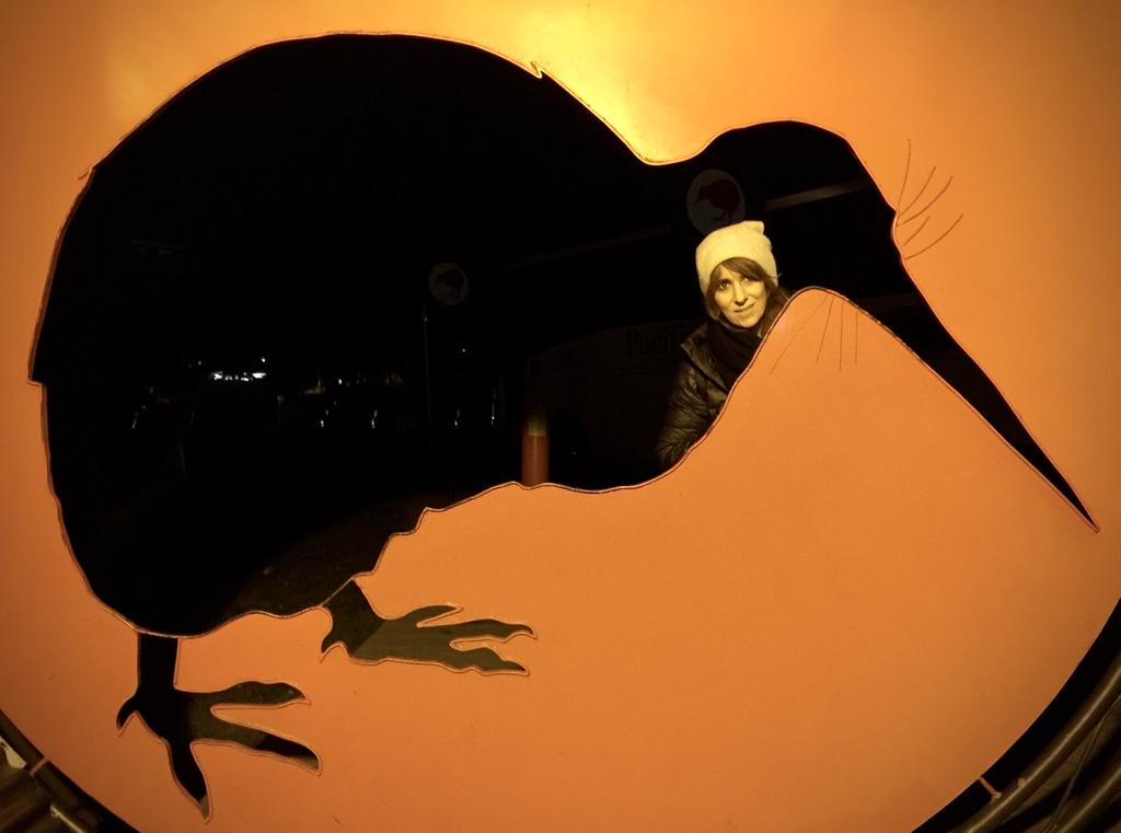 El kiwi y sus cuatro significados, por Ivonne Frid - n1