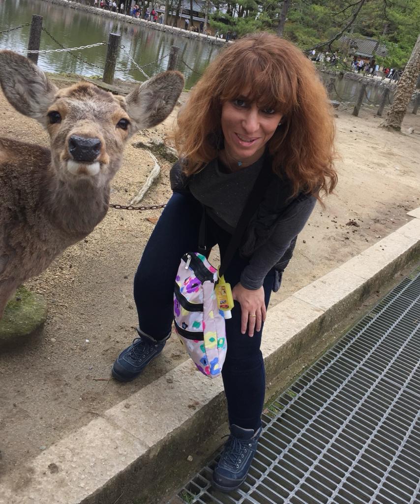 Convive con más de mil ciervos en el Parque Nara, Japón - nara