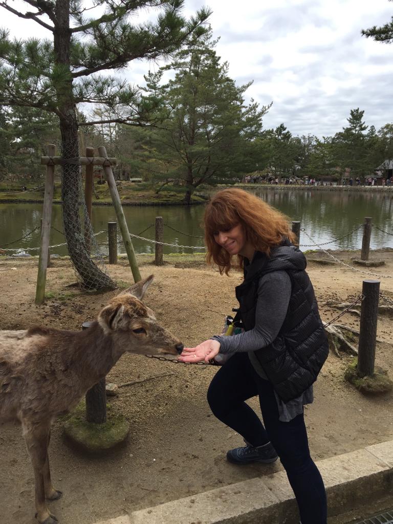 Convive con más de mil ciervos en el Parque Nara, Japón - nara2