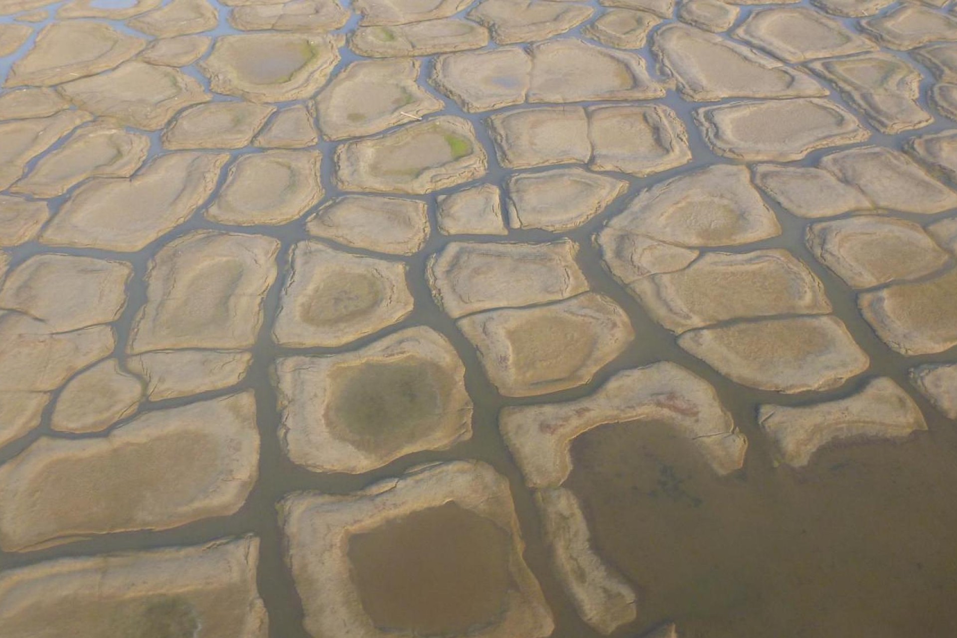 Analizan impacto del calentamiento global en el deshielo del permafrost Analizan impacto del calentamiento global en el deshielo del permafrost