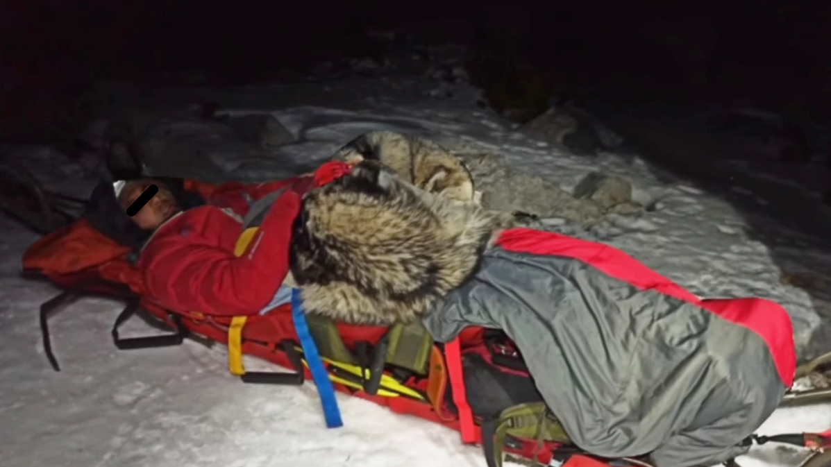 Perro salva de hipotermia a montañista accidentado tras recostarse 13 horas sobre él