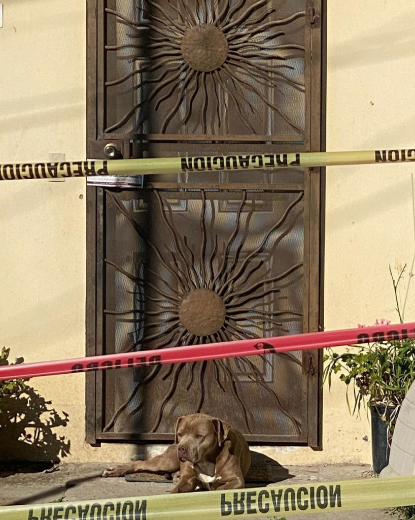 El sol de Lourdes Maldonado - screen-shot-2022-01-24-at-132350-818x1024