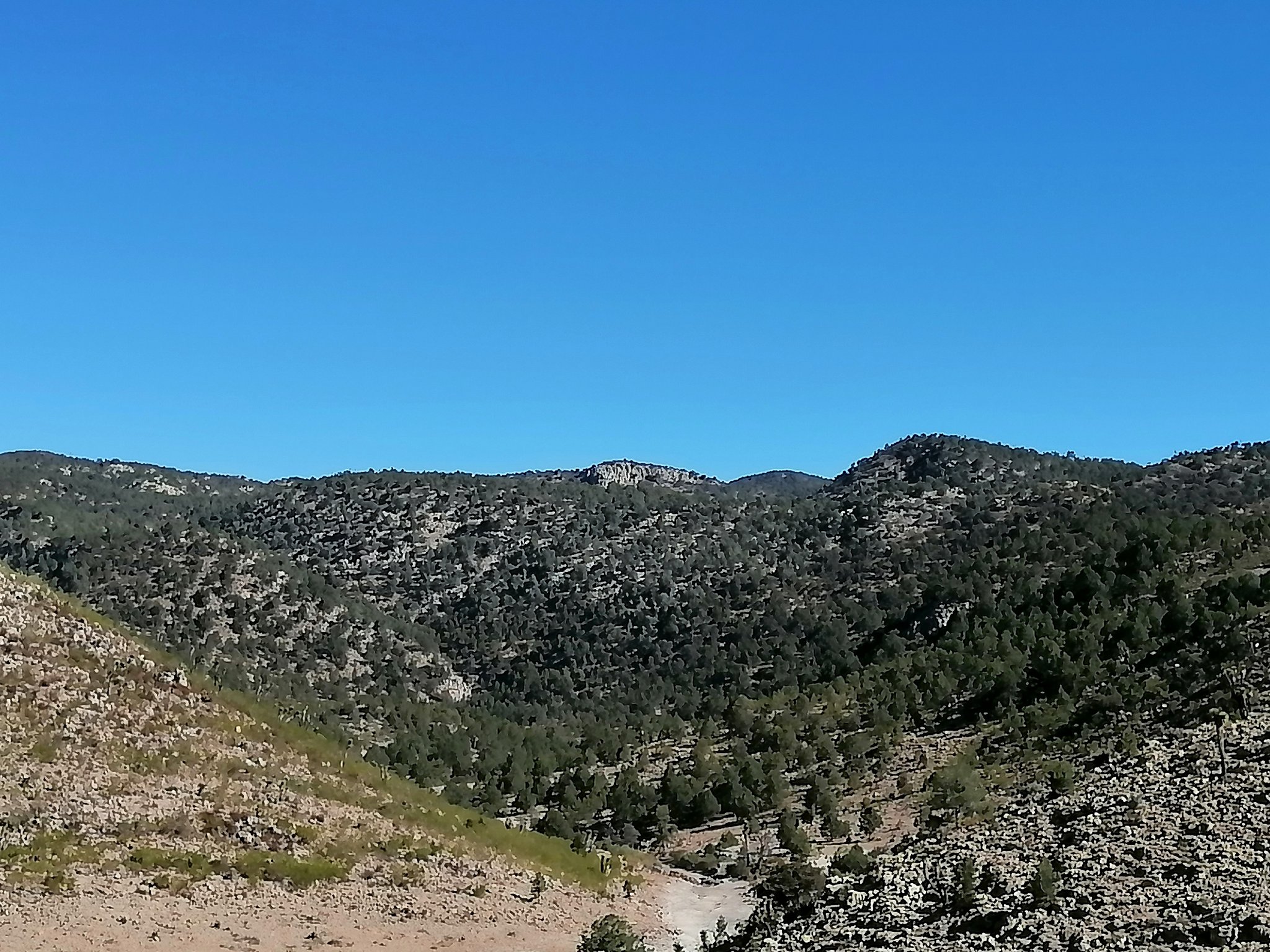 Juez suspende declaratoria sobre área natural protegida en San Luis Potosí Juez suspende declaratoria sobre área natural protegida en San Luis Potosí