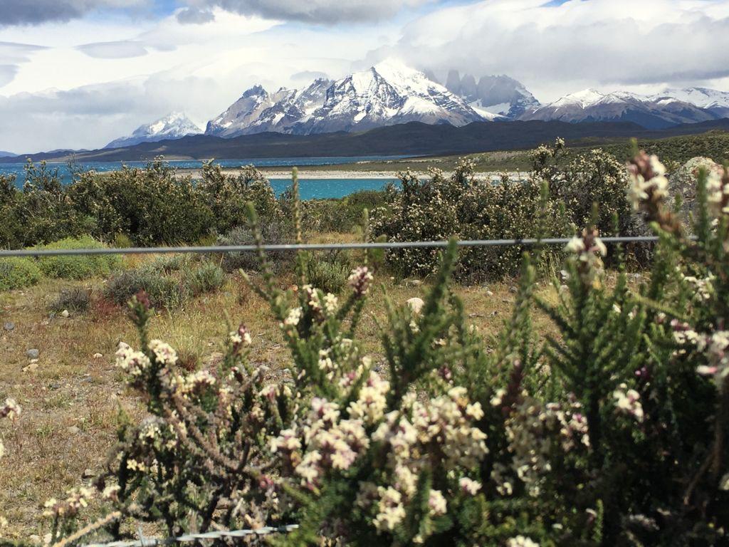 Las impresionantes Torres del Paine, por Ivonne Frid Las impresionantes Torres del Paine, por Ivonne Frid
